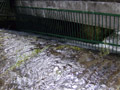 Precision Metalworking Lancashire